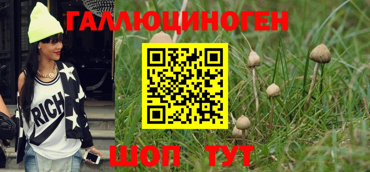 Псилоцибиновые грибы мицелий Тосно