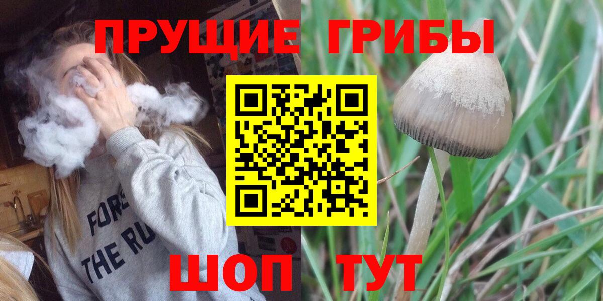 Тосно  Псилоцибиновые грибы мухоморы  Вход с VPN  Галлюциногенные грибы мицелий 